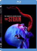 The Strain Temporada 3 [720p]